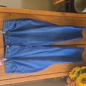 056 Catherine's Petite Plus Size Jeans